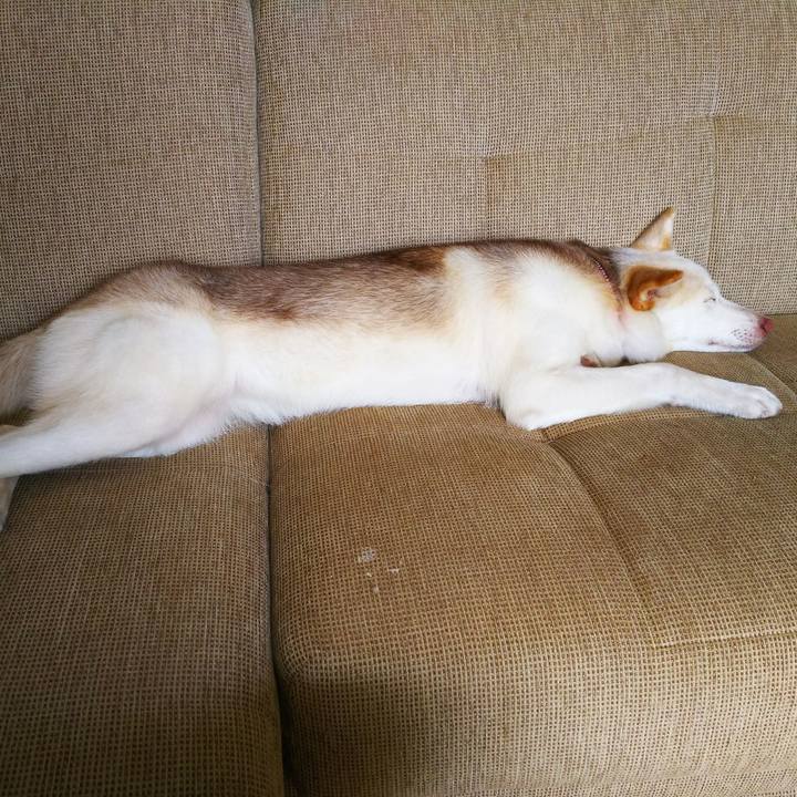 3e606c7a 1781 41a5 a40a 2cb7b6cafa75