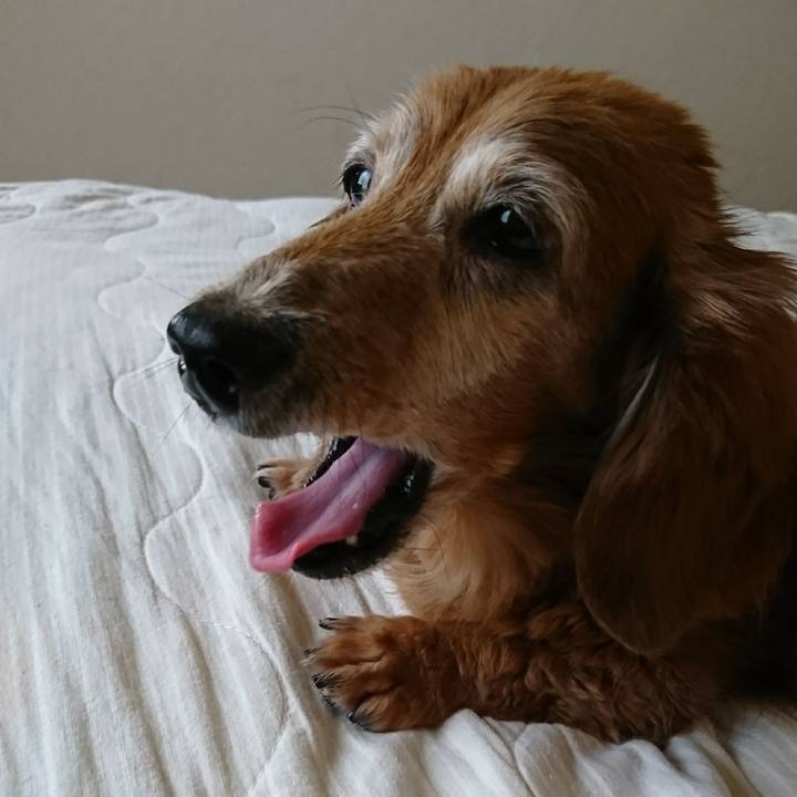 3e60cf76 205c 42e0 847b ff1adf0831c9