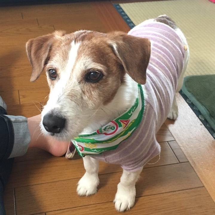 3e60f433 5e8f 4b3b a2d8 944cecbf28e9