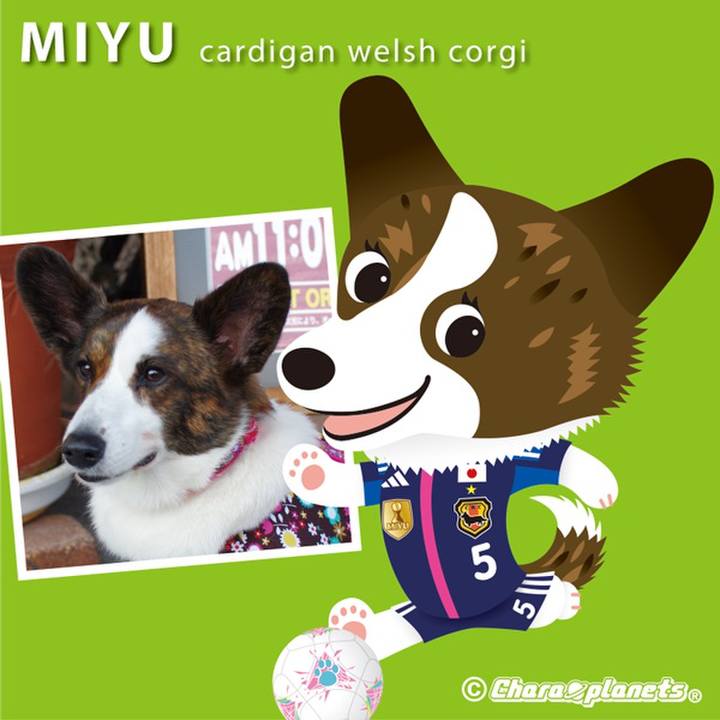 3e61227c d375 4f3b b3a2 93663d9b1ead