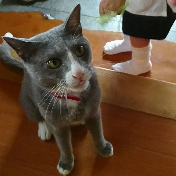 3e61986d 90c9 4243 b7af 35f402ebb4c2