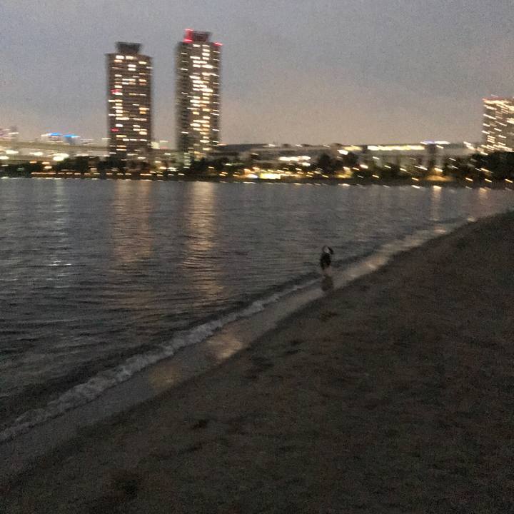 3e61a0f1 b972 4f55 91fe ab408d10017e