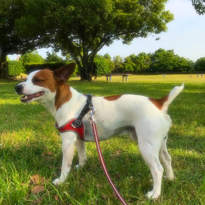 3e61b4c6 f186 47ba bb10 4ac5df7ed796