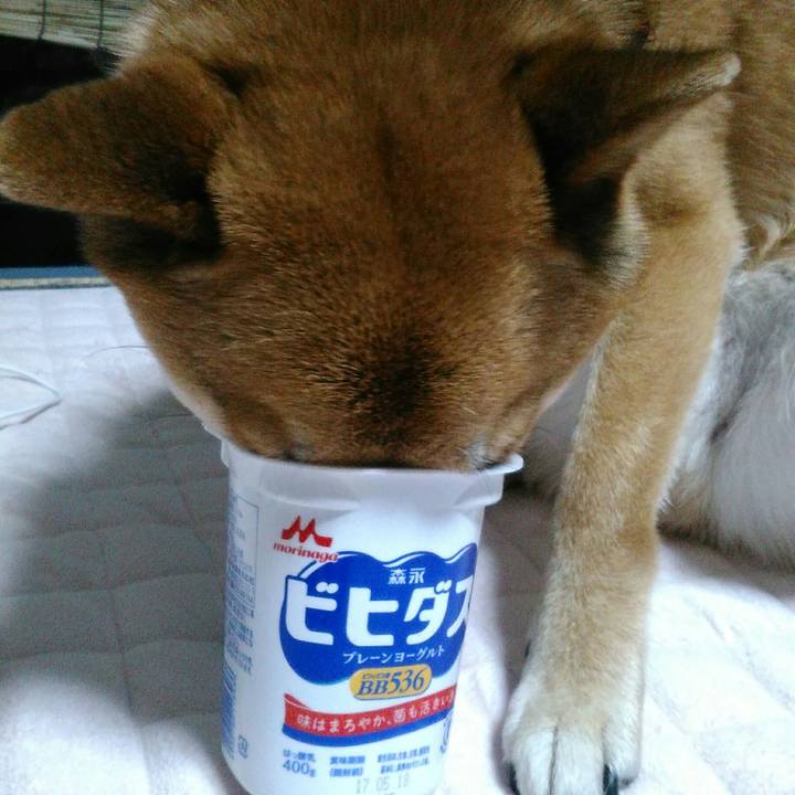 3e627903 c514 4edb a58d c0b408fd0d4d