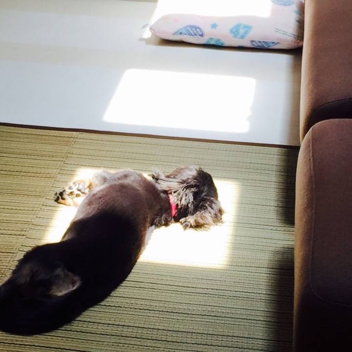 3e62ca2d 3fdd 4c93 9231 b3d9035f1314