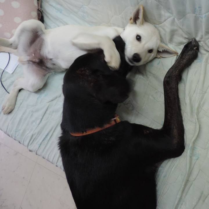 3e636a4d 7859 4487 9aa7 877a9b911b17