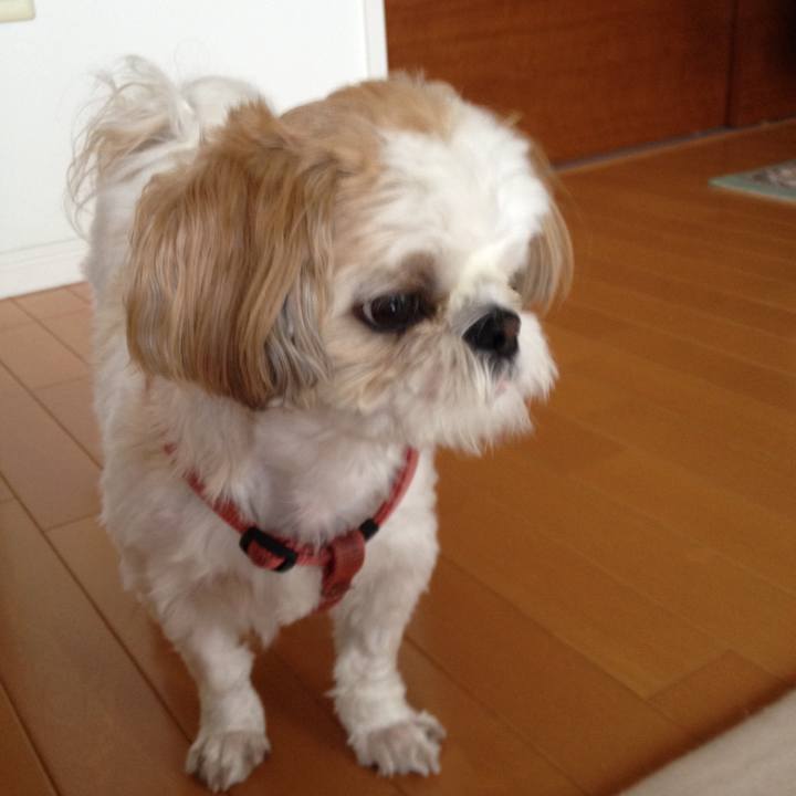 3e639f38 d693 4216 95e3 cb22dbfbdb5c