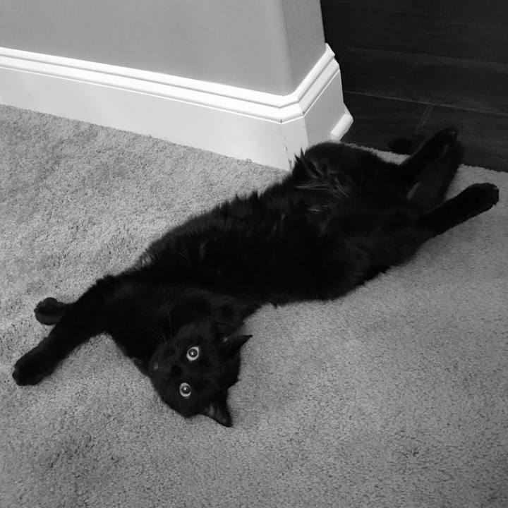 3e63bccb cdb1 46fc 96c4 bdecc9746eb6