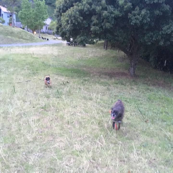 3e63c57a bd52 4678 a812 9f1ef9975d05