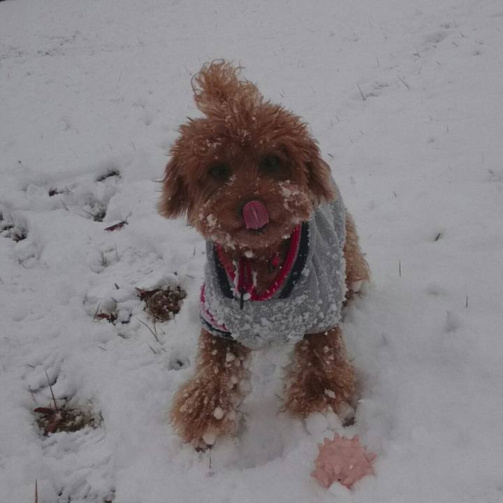 3e63d6a2 e80a 43fe a7c3 0142b71c1b1a