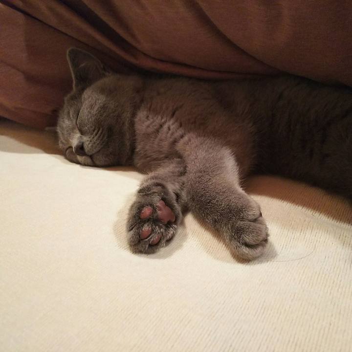 3e6415b1 2590 4e33 ba2f 6cac486b5b28