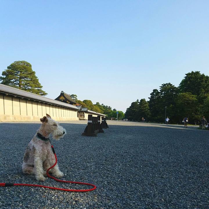 3e647298 1990 4086 970c a544d5477829