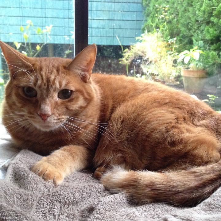 3e653e65 16ae 42ce 817d c2cd51ac8f13