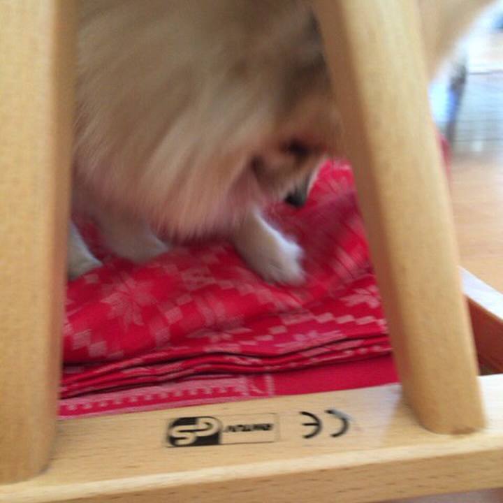 3e656a55 1208 4a44 9632 6a180645db69