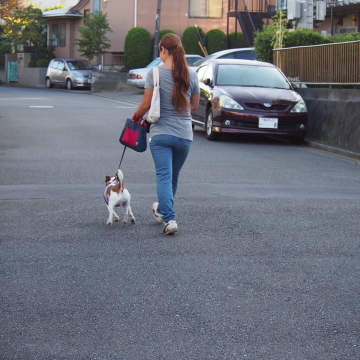 3e659872 18a2 43f1 9930 7c58acdd7e91