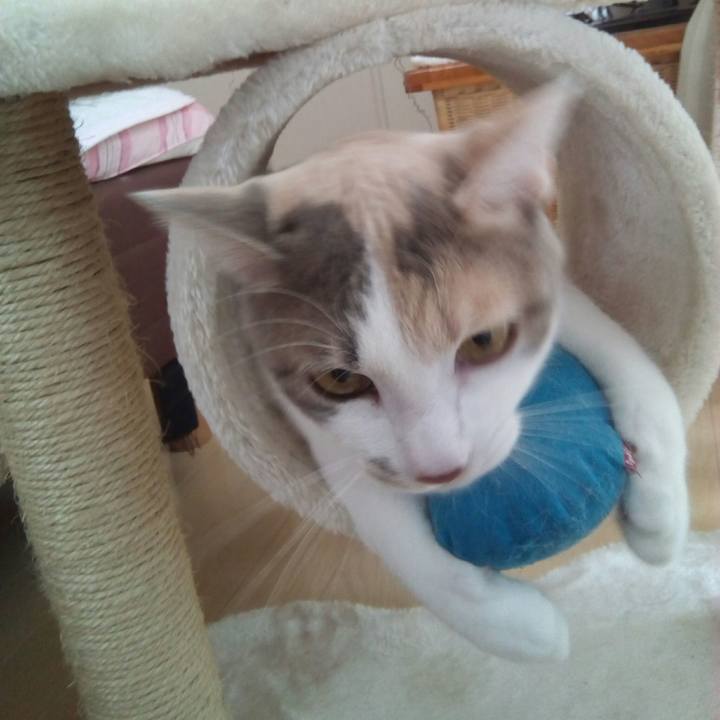 3e65fc71 f3ee 430e bc2a d5b26988bd08