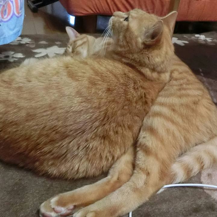 3e66318d 1b23 4b7d 834a 888c803547b5