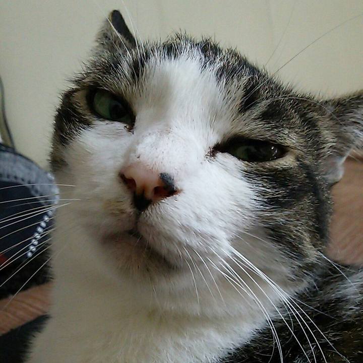 3e6690a4 2fee 4a8a b9a0 fe77108691bc