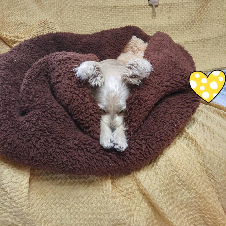 3e670857 fb2c 4201 a6fc a230071e6c62