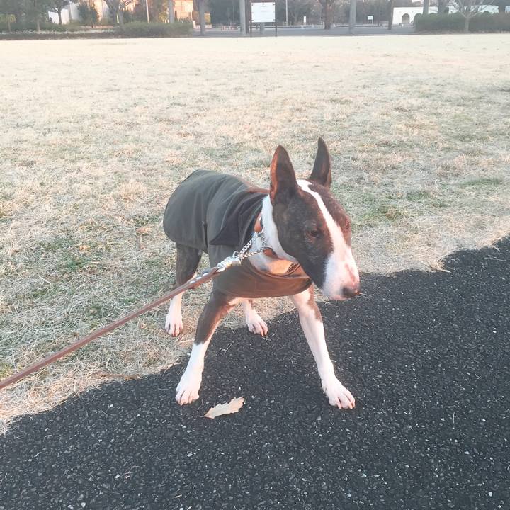 3e678897 5156 49c6 9c41 2e411551e559