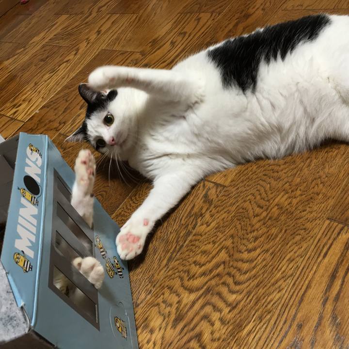 3e67a2c5 dbbe 49a9 b53f ada9699db955