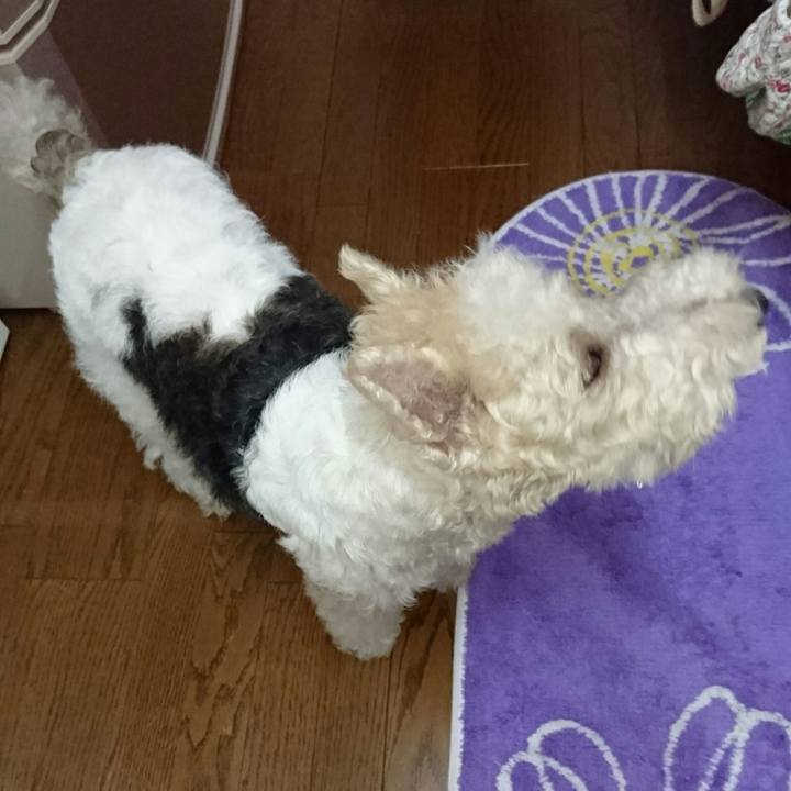 3e67b09f cde6 485a 907d 78b9fa08b077