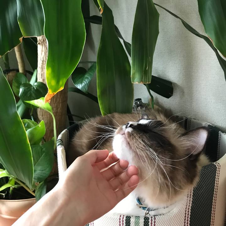 3e67d2de 9533 4127 b35a ed787793c1ee