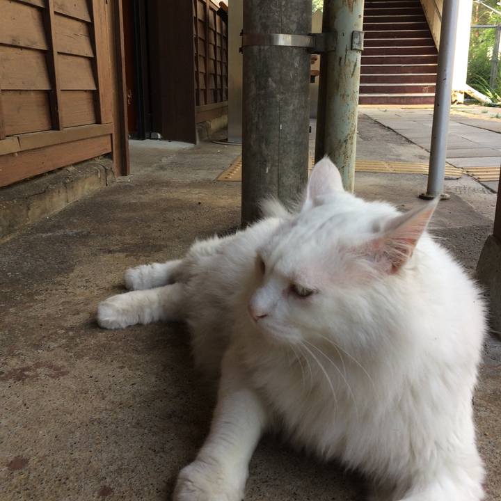 3e6844e7 0e9f 4c66 81d1 82eb21b20ac3