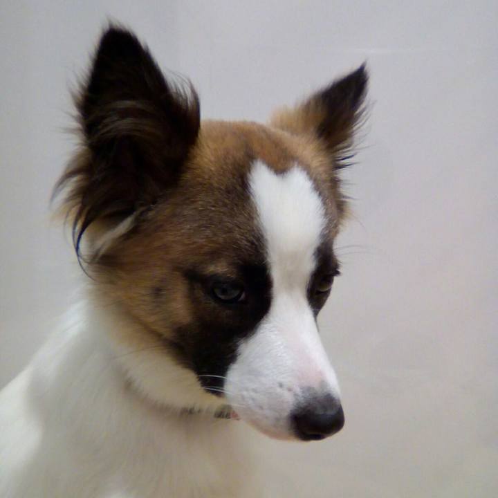 3e685696 26dc 43e4 bf97 e258f9bb79b5