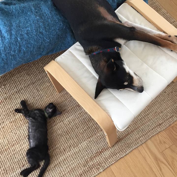 3e68d53d a39e 483f 9384 7bfa9abde04a