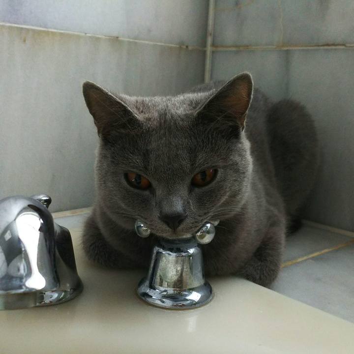 3e6a1069 9e50 4319 b17b c49e46a028d1