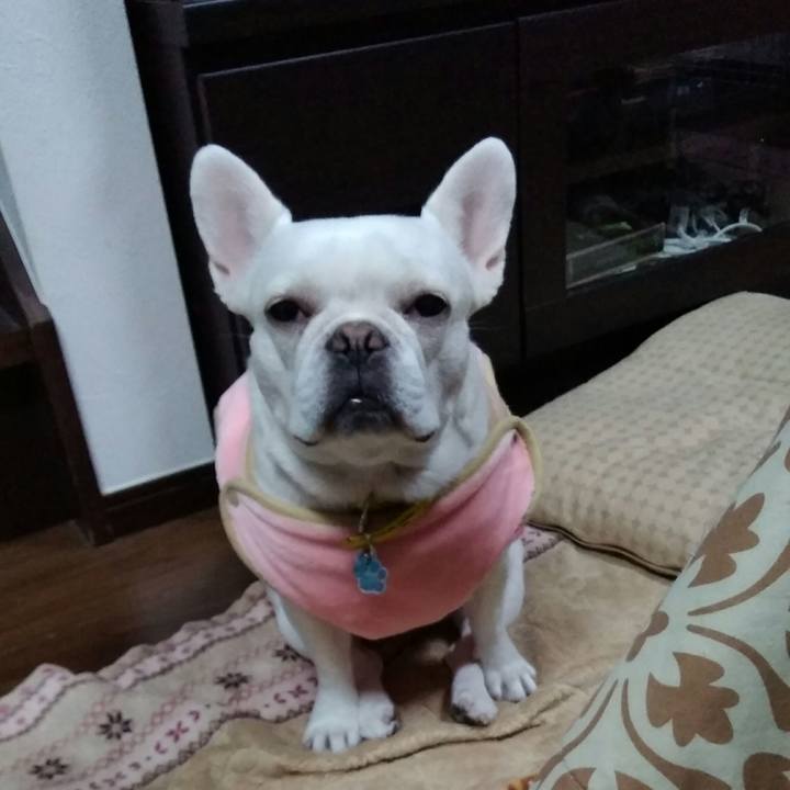 3e6af9ef 9118 4584 8c3f 64a5aec1959c