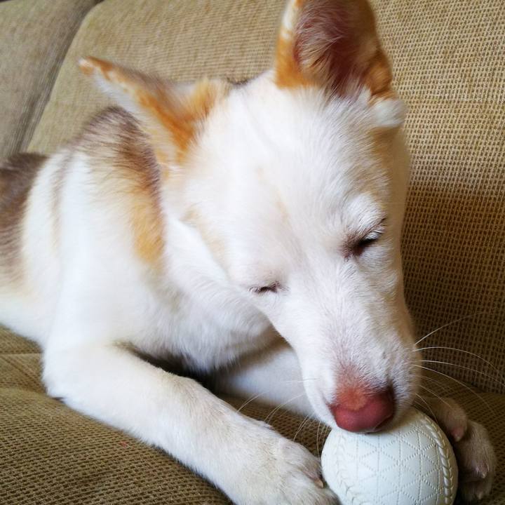 3e6b04a9 54e9 4342 b9ef 67abef47e347