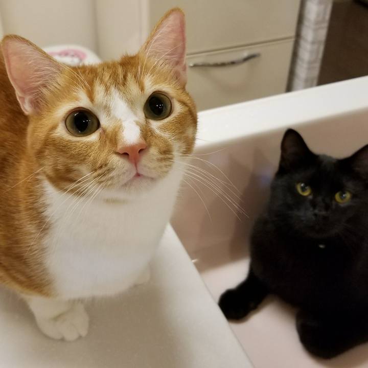 3e6bd946 8f75 4a6c bce8 3e13c950dedb