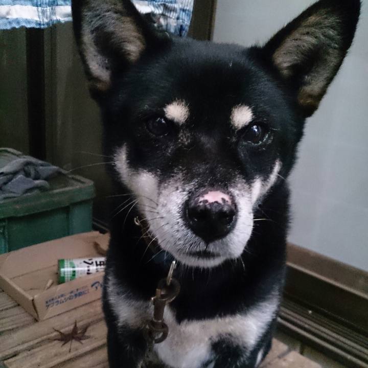 3e6cf8d7 c2ee 4995 915c bd58d95448bf