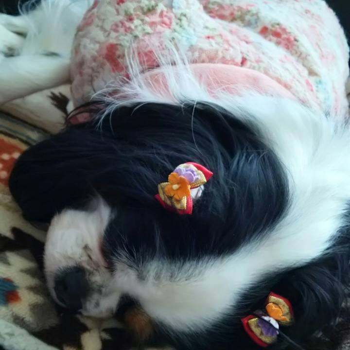 3e6d032e ee26 4320 bc12 d11f5249a6c1