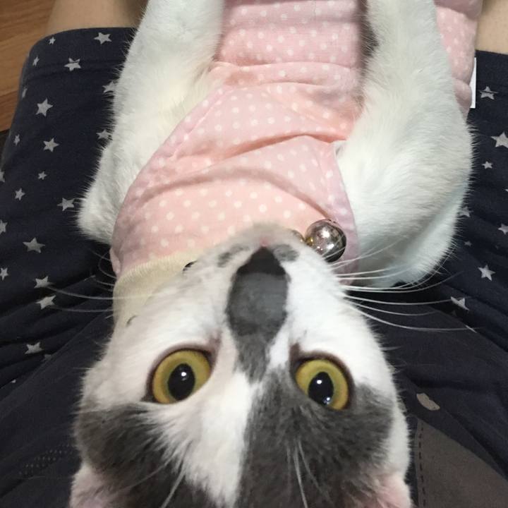 3e6d3a68 8f9c 4146 8aad 339dd7de1104