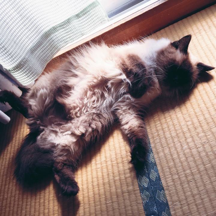 3e6d5beb f25d 4b22 870e 1d880df08cf5