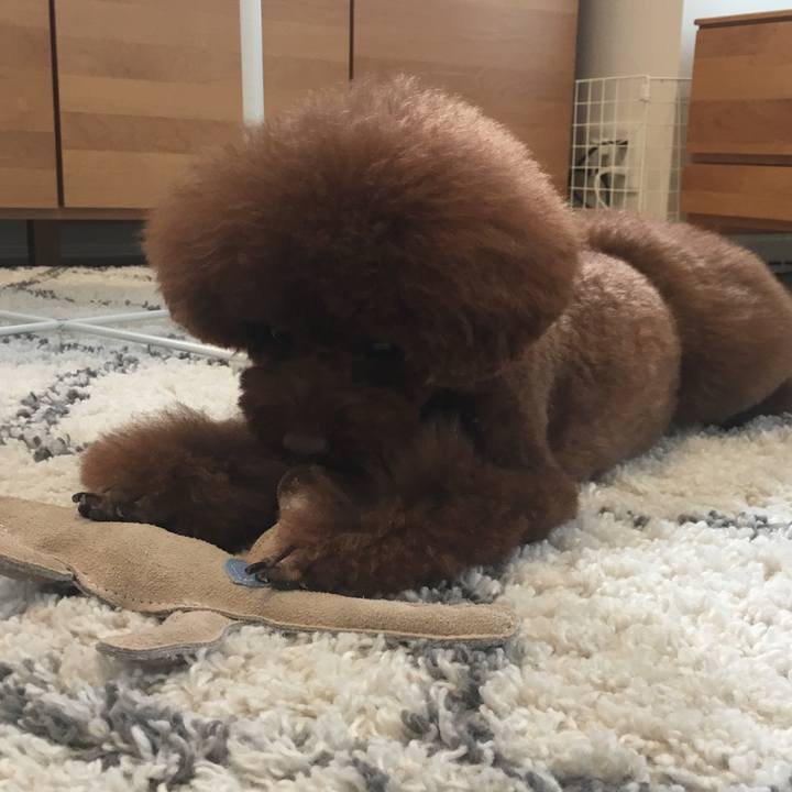 3e6d9d97 91f1 46f5 b613 229d6866da2c