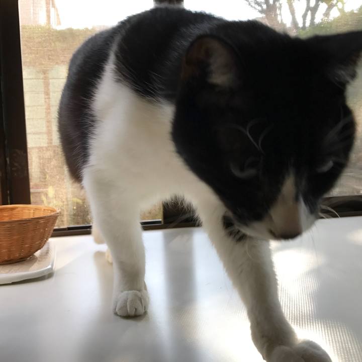 3e6dad29 adfa 4575 a016 51d0466eb6fe