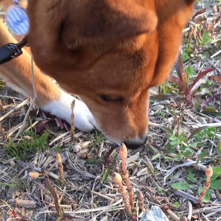 3e6e82ca 03e0 47b6 9c6f 1f657c1e06c7