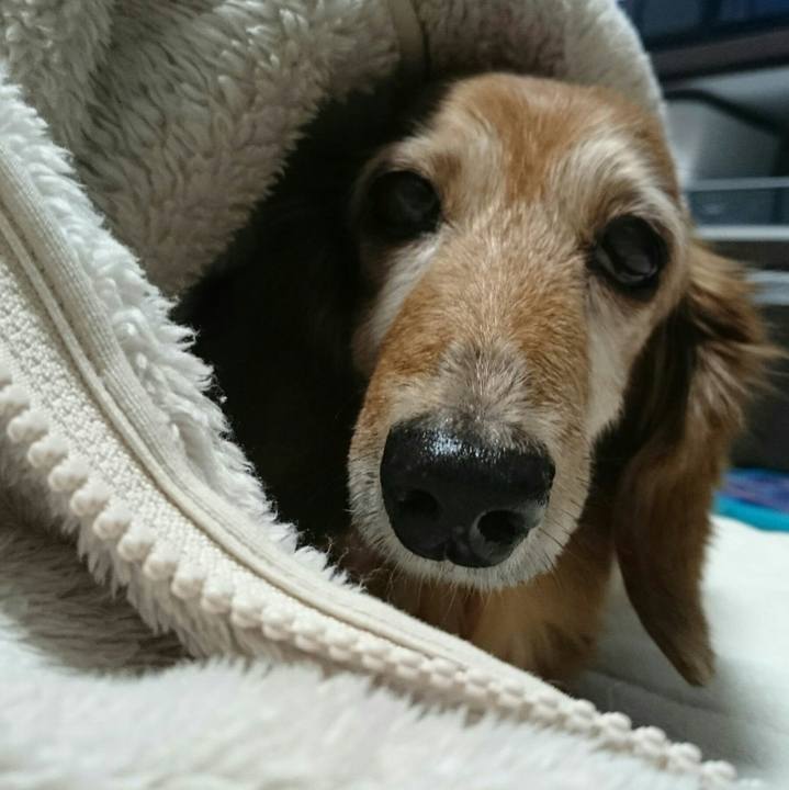 3e6e8989 d563 4878 a021 976eb7a36c4a