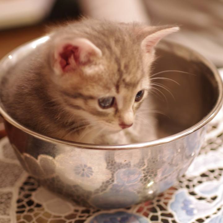 3e6ea9a2 42d4 413c 9ddc dcce4dbef950