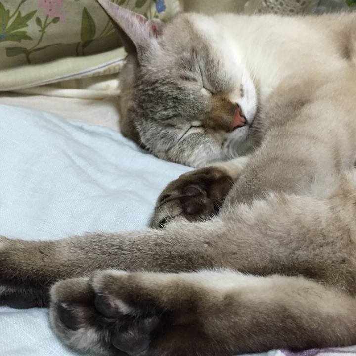 3e6f9082 a4c5 4673 914d 87d30288055e