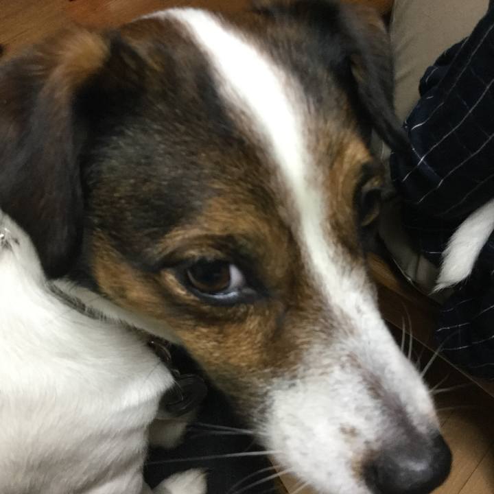 3e6fdacc 695b 45d7 b888 d1d56d57b9c1