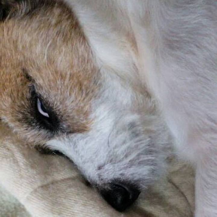 3e6ff247 17eb 49d6 b2f6 2aa7ea0f29e0