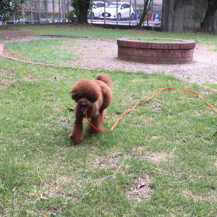 3e700698 c3ed 4eec b419 641f04ab8f7a