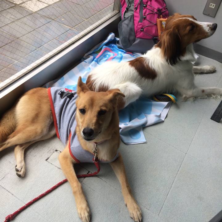 3e70424d 8282 4f0b 9805 34c9a8e9243c