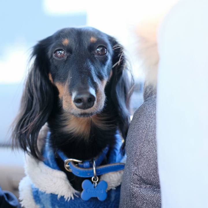 3e70b7bc 0972 4163 a2b8 903d893f77f6