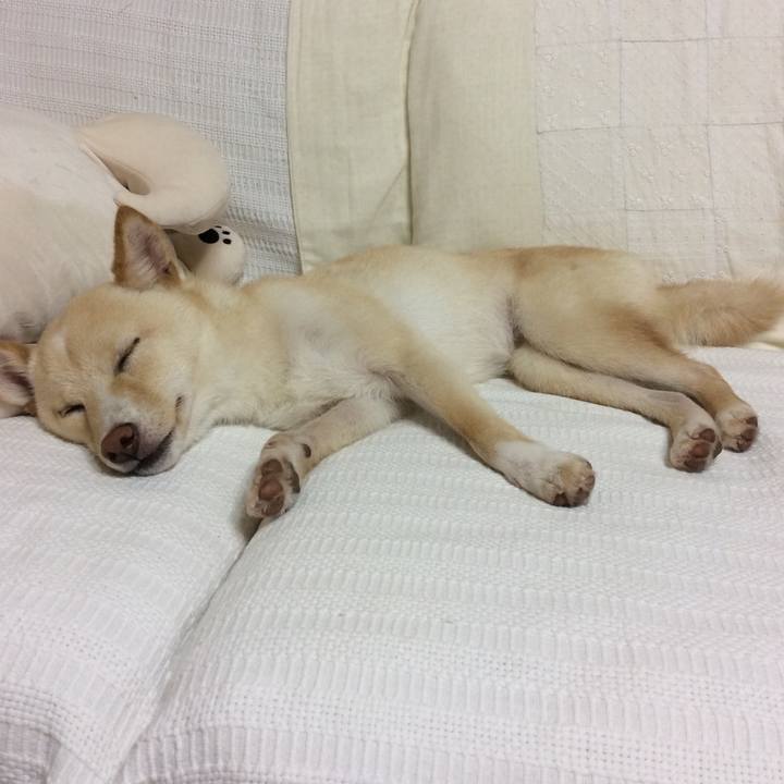 3e70c470 77e2 48b8 9908 98bb13637ff6